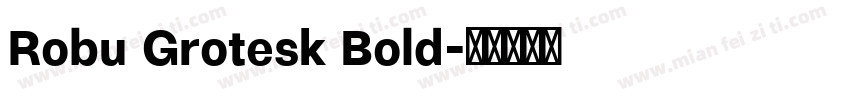 Robu Grotesk Bold字体转换